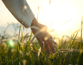 Staying Well During Allergy Season