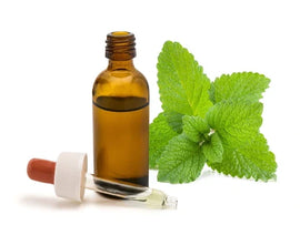 Lemon Balm Extract: Health Benefits and How It Supports Sleep and Relaxation